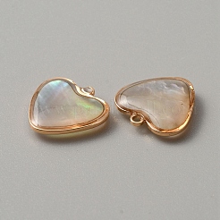 Природные подвески оболочки BSHE-TAC0001-02B