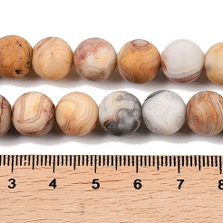 Натуральные сумасшедшие кружевные агатовые бусины&nbsp;G-Q462-10mm-12