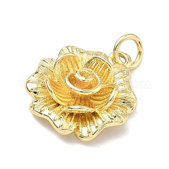 Латунные подвески&nbsp;KK-K417-10G