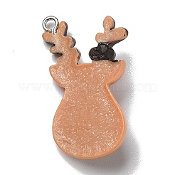 Подвески из непрозрачной смолы&nbsp;LS-RESI-D055-008P