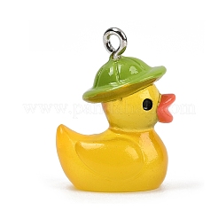 Подвески из непрозрачной смолы&nbsp;FIND-I052-06P