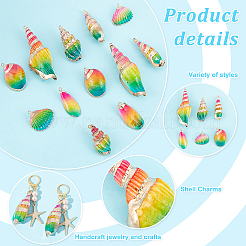 12 шт. 6 стиля гальванизированные натуральные смешанные ракушки большие подвески&nbsp;SSHEL-GA0001-06
