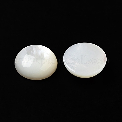 Натуральный белый кабошоны оболочки&nbsp;X-SSHEL-M022-01C