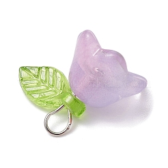 5 шт. 5 цветных стеклянных подвески «Цветок жизни»&nbsp;PALLOY-JF02301-02