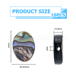 10 шт. бусины из натуральной ракушки пауа&nbsp;SSHEL-FI0001-04