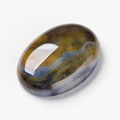 Естественный дракон вен кабошоны&nbsp;G-F296-05-18x25mm