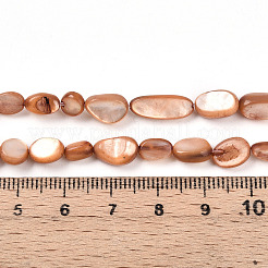 Нити бусин из натуральной белой ракушки&nbsp;SHEL-N036-21E