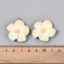 Подвески из непрозрачной смолы&nbsp;RESI-T059-05F