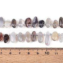 Природные Ботсвана агат бисер нитей&nbsp;G-Z091-A30