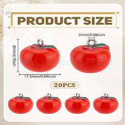 20шт акриловые подвески&nbsp;OACR-LP0001-14