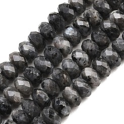 Натуральные нити бус из ларвикита&nbsp;G-C259-A45-5x8mm