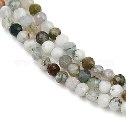 Природные моховой агат бисер нитей&nbsp;G-RM2025-A33-2mm