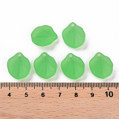 Прозрачные матовые акриловые подвески&nbsp;MACR-S371-02A-734