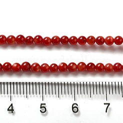 Нити бусин из натуральных пресноводных ракушек&nbsp;SHEL-H003-03G