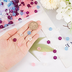 600 шт. 6-х цветные прозрачные акриловые бусины и колпачки для бусин&nbsp;TACR-SC0001-16