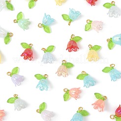 50шт прозрачные акриловые подвески&nbsp;PALLOY-FS00043-03