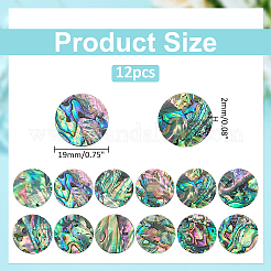 12 шт. кабошоны из натуральной ракушки пауа&nbsp;FIND-WR0011-79A