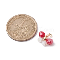 10шт 10 цвета подвески из стеклянных бусин&nbsp;PALLOY-JF02583