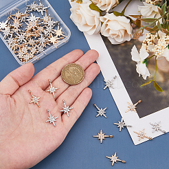 60шт 2 цвета подвески из сплава со стразами&nbsp;ALRI-DC0001-10