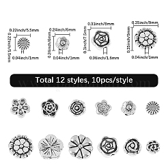 120шт 12 стиля бусины из сплава в тибетском стиле&nbsp;TIBEB-SC0001-53