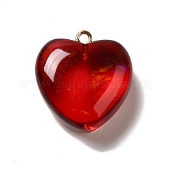 Прозрачные смоляные подвески&nbsp;LS-RESI-F035-02D