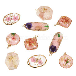 10шт 5 стиля подвески из эпоксидной смолы&nbsp;FIND-TA0008-91