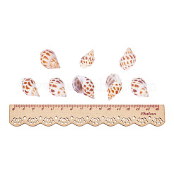 Спиральные подвески оболочки&nbsp;SSHEL-PH0001-03