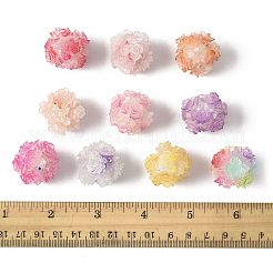 10шт 10 цвета бусины из смолы&nbsp;RESI-FS0002-24B