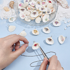 66 шт. 11 стиля натуральных ракушек большие подвески&nbsp;PALLOY-MA00003