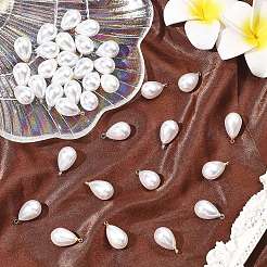 Подвески из абс-пластика&nbsp;FIND-YW0009-34