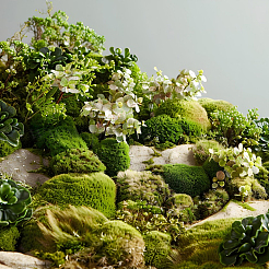 Полиэстер искусственный мох&nbsp;DIY-WH0671-078