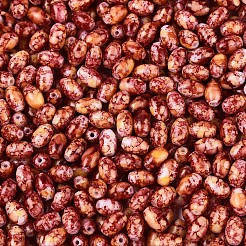 Спрей роспись стекла бисер SEED-T007-14B