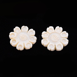 Кабошонов пресноводных оболочки SHEL-T018-14