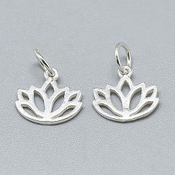 20 шт. 925 подвески из стерлингового серебра&nbsp;STER-CA0001-10