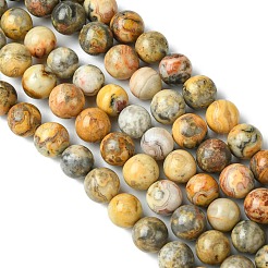 Натуральные сумасшедшие кружевные агатовые круглые бусины&nbsp;G-M272-03-10mm