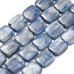 Натуральный кианитовые бисер пряди&nbsp;G-H335-I01-10x12mm