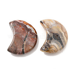 Натуральные мексиканские кружевные агатовые бусины&nbsp;G-J391-04D