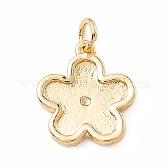 Латунь эмаль подвески&nbsp;KK-P217-02G-04