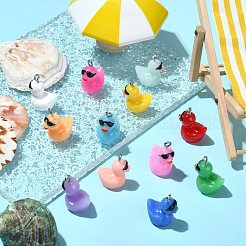 60 шт. 12 цвета непрозрачные подвески из смолы&nbsp;RESI-SZ0003-28