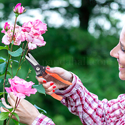 Стальные секаторы&nbsp;TOOL-WH0019-83