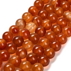 Окрашенные натуральный красный агат бисер пряди&nbsp;G-G203-10H-10mm