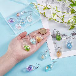 12 пара сережек-ракушек из нержавеющей стали 304&nbsp;EJEW-UN00016