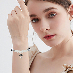 250 шт. 10 стиля бусины из сплава в тибетском стиле&nbsp;TIBE-PA0001-04