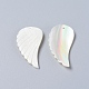 Натуральная ракушка трохида / подвески из ракушки трохуса&nbsp;SSHEL-L016-007D-2