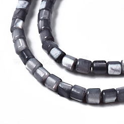 Натуральная оболочка трохида&nbsp;SSHEL-N034-77-C01