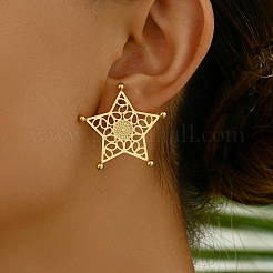 Полые серьги-гвоздики из нержавеющей стали в форме звезды&nbsp;BW4018