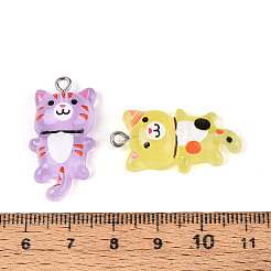 Подвески из светящейся прозрачной смолы&nbsp;RESI-T059-13