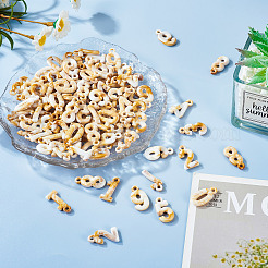 150g акриловые подвески&nbsp;OACR-TA0003-03A