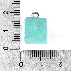 Подвески из смолы&nbsp;LS-FIND-U031-11C-P