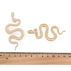 Серьги сплава&nbsp;EJEW-R021-03KCG-03